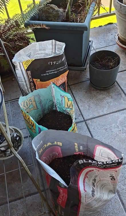 Photo of free 3 bags of old used potting soil (Magnuson) #1