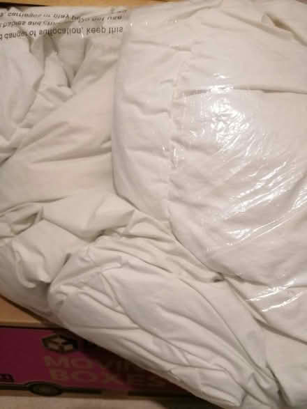 Photo of free 7.5 tog double duvet (Portslade) #1