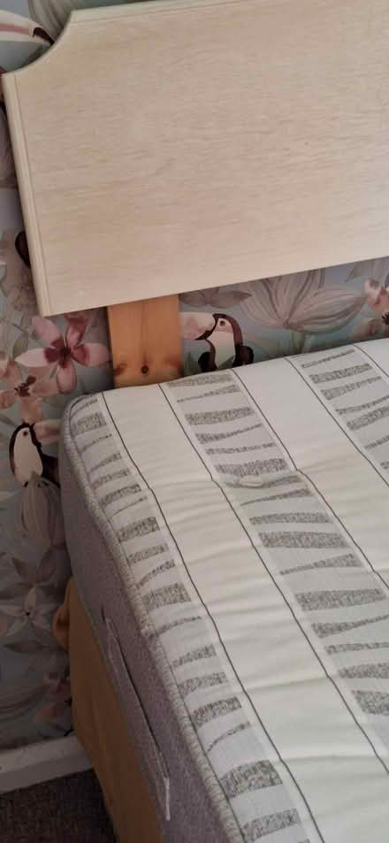 Photo of free Double bed with mattress and headboard (Barnard's Green WR14) #2