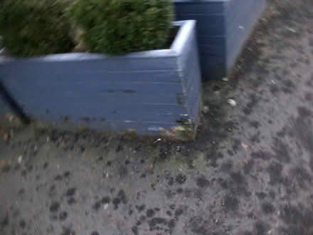 Photo of free 5 big planters. With soil (but not the bushes) (Pooley Bridge CA10) #3