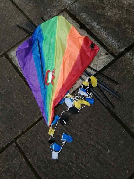 Photo of free Kite (Battle RG30) #1
