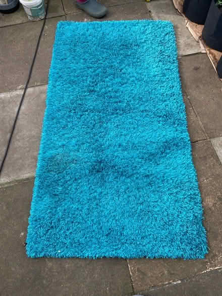 Photo of free Rug shaggy bravo (London SE20) #1