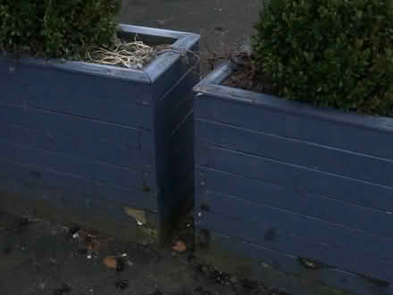 Photo of free 5 big planters. With soil (but not the bushes) (Pooley Bridge CA10) #4