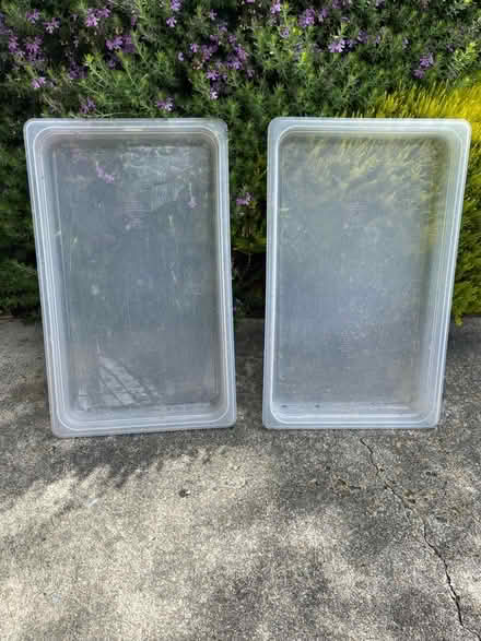 Photo of free Kitten litter boxes (Santa Clara) #2