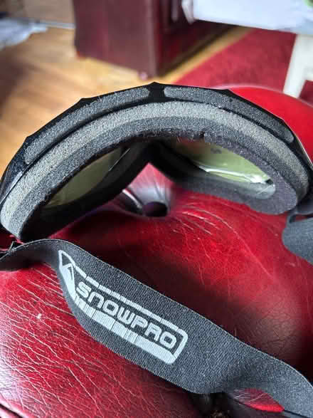 Photo of free Ski googles (Woodhouse sheffi) #2
