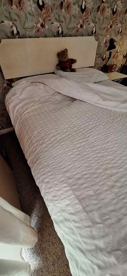 Photo of free Double bed with mattress and headboard (Barnard's Green WR14) #1