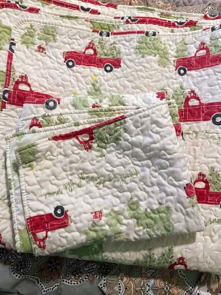Photo of free Queen size Christmas bedding (NE Ann Arbor near Dixboro) #1