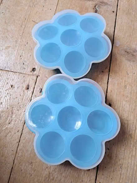 Photo of free Moulds (CT11) #1