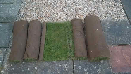 Photo of free Grass turf (Staines-Upon-Thames, TW18) #1