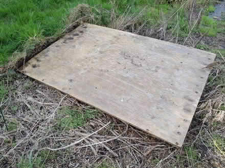 Photo of free Full sheet of 22mm exterior ply (Chelmsford CM2) #1