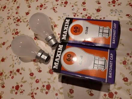 Photo of free Light bulbs (St Margarets TW1) #1