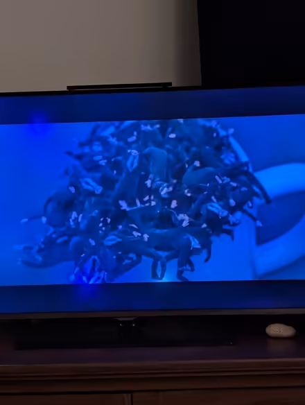 Photo of free Samsung TV - Working (screen spots) (PA1) #3