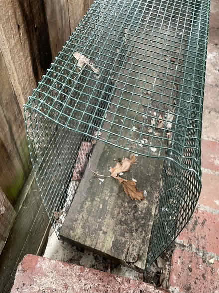 Photo of free Steel mesh cat run tunnel (used) (Surrey Hills) #1