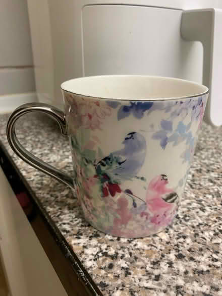 Photo of free Nice cup (IG10) #1