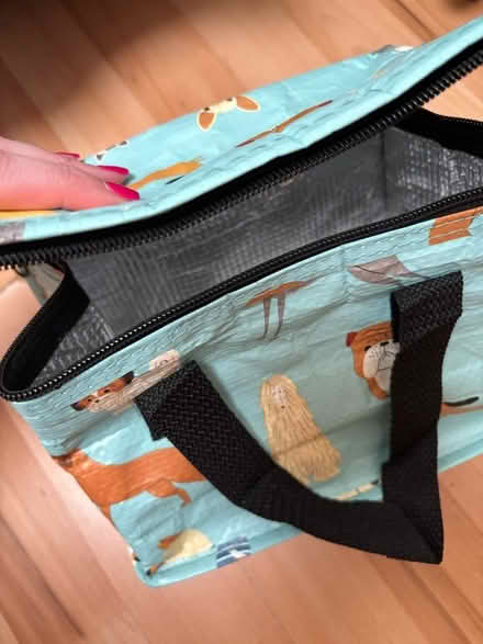 Photo of free Small Lunch Bag (LU1) #1