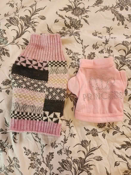 Photo of free XS Dog clothes (Allen Park) #1