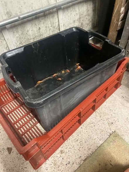 Photo of free plastic crate and box (Cockermouth CA13) #1