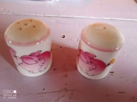 Photo of free Pig salt and pepper pots (St.marys rd,Kettering) #1