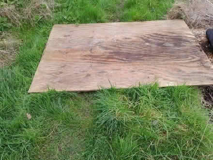 Photo of free Full sheet of 22mm exterior ply (Chelmsford CM2) #2