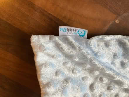 Photo of free Moses basket, stand and sheets (S8 woodseats) #1
