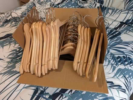 Photo of free Wooden hangers (Carterton OX18) #1