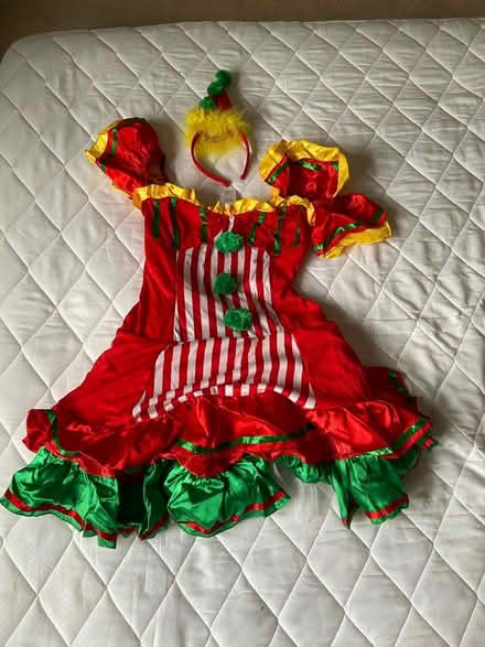 Photo of free Adult Fancy Dress outfits (Bicester Fringford OX27) #2
