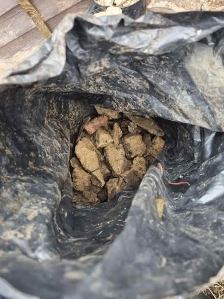 Photo of free Sand/hardcore/rubble (Kidlington OX5) #3