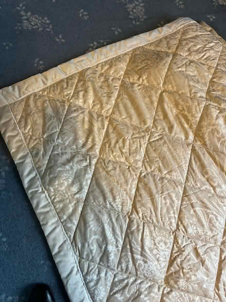 Photo of free Bedspread - light gold (CB2) #1