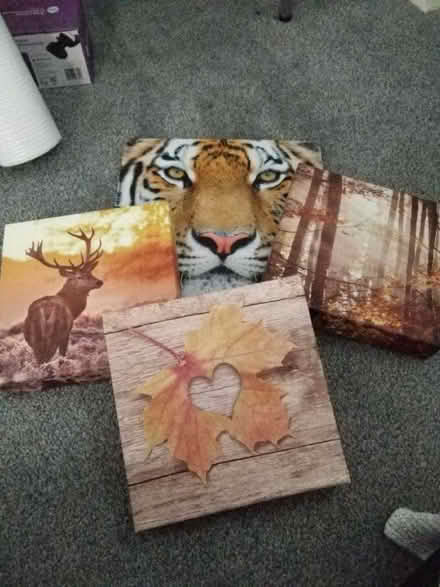 Photo of free Canvas pictures (Waterlooville PO8) #1