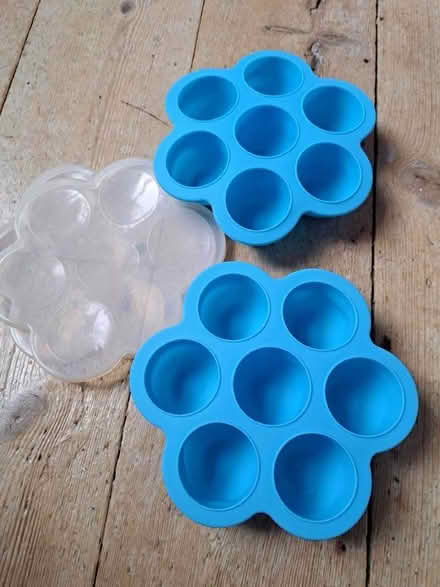 Photo of free Moulds (CT11) #2