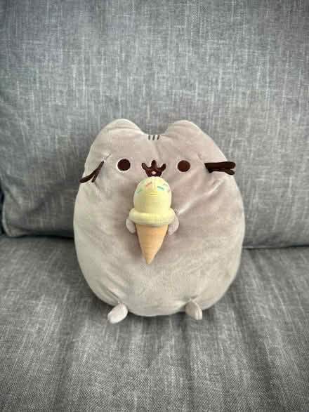 Photo of free Pusheen the Cat plush (Malden) #1