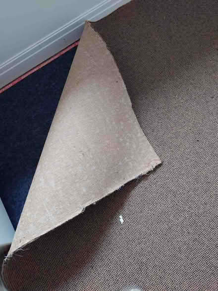 Photo of free Brown carpet, 4 rooms (Chorlton M21) #2