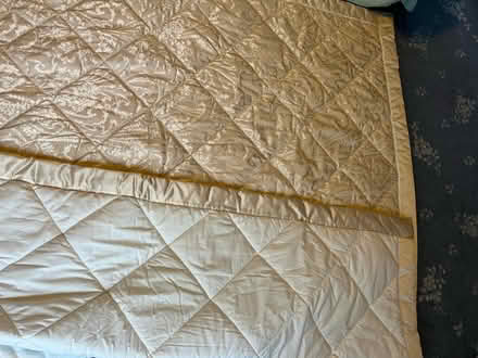 Photo of free Bedspread - light gold (CB2) #2