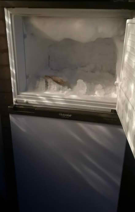 Photo of free Hotpoint fridge/freezer (St Nicholas SG1) #3