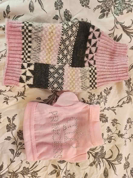 Photo of free XS Dog clothes (Allen Park) #2