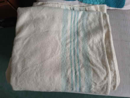 Photo of free Wool blanket (TN34 - top of Elphinstone Road) #1