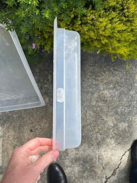 Photo of free Kitten litter boxes (Santa Clara) #1