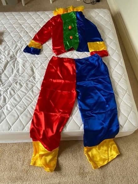 Photo of free Adult Fancy Dress outfits (Bicester Fringford OX27) #1