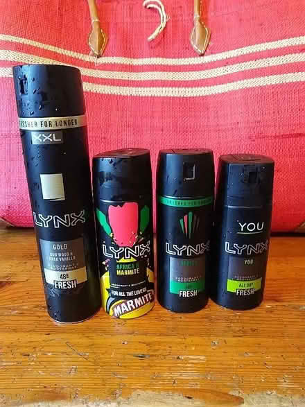 Photo of free Lynx body spray (Stafford ST16) #1