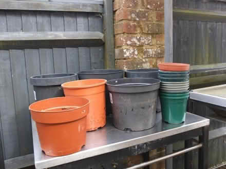 Photo of free Variety of plastic plant pots (Battle TN33) #1