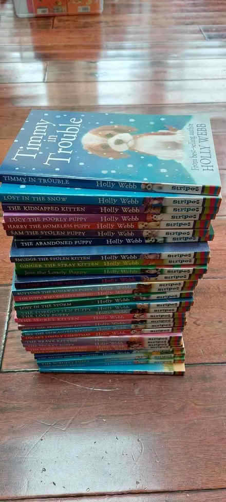 Photo of free Children's books - Holly Webb collection (Walton-on-Thames KT12) #1