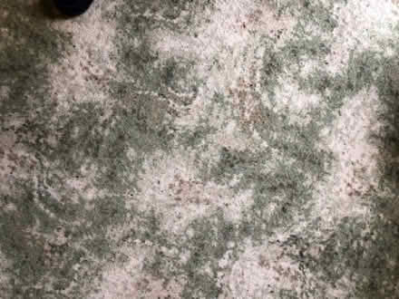 Photo of free Axminister carpet about 9 x 12 ft (Pound Hill RH10) #1