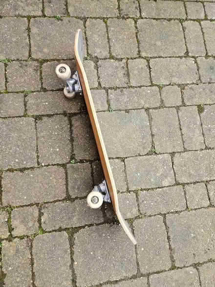 Photo of free Skateboard 🛹 (Presteigne LD8) #1