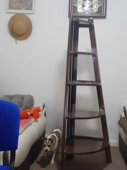 Photo of free Corner Shelf Unit (NG8) #2