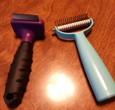 Photo of free Pet (dog) grooming tools (Cambridgeport, near Dana Park) #1