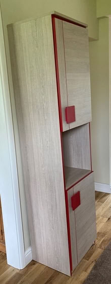 Photo of free Tall cupboard (Symondsbury DT6) #2
