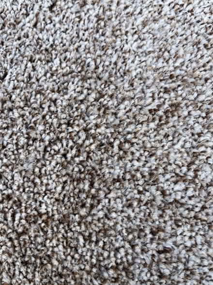 Photo of free Carpet (Brand new) (LE3 Glenfield Leicester) #1