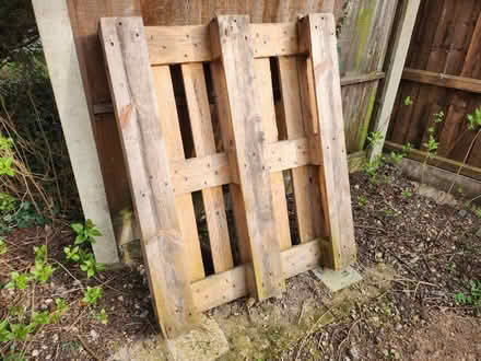 Photo of free Wood Pallet (Cringleford NR4) #1