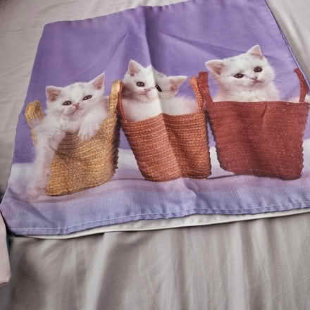 Photo of free Cushion covers (kitten design) (Willenhall WV13) #1