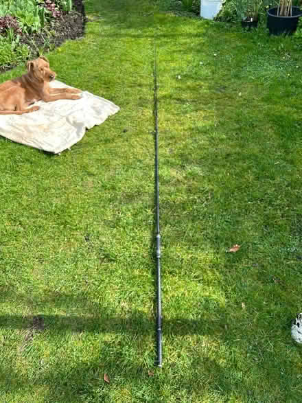 Photo of free Carp rod (Freehold Lancaster) #1